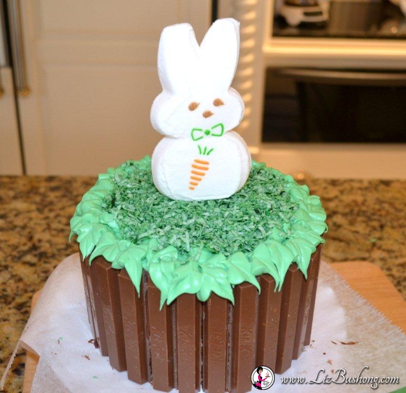 aster Kit Kat Basket-bunny peep-www.lizbushong.com