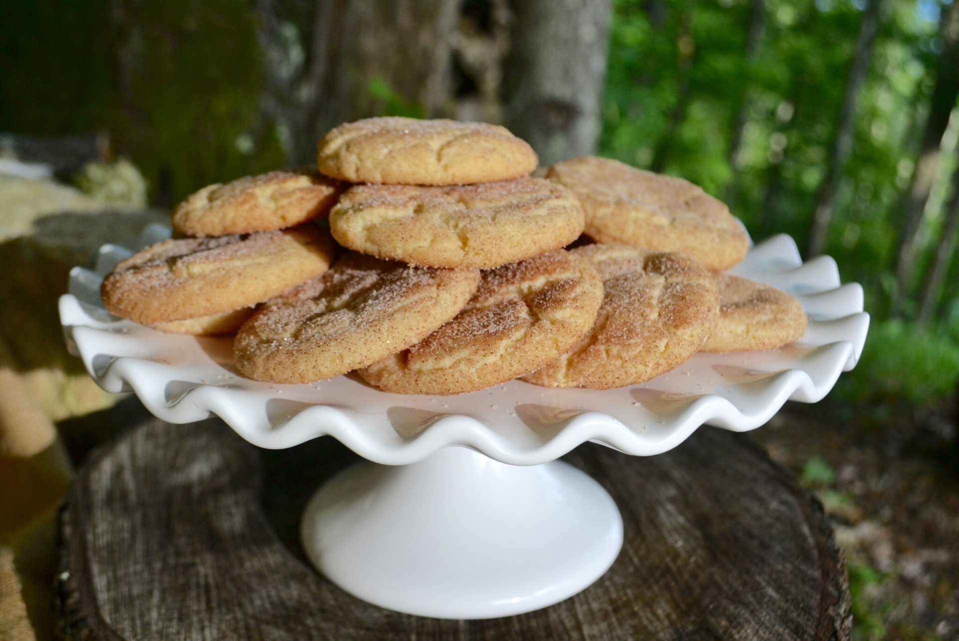 Fall Favorite Flavor-Snickerdoodles