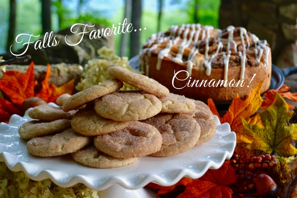 How to Make Snickerdoodle cookies lizbushong.com