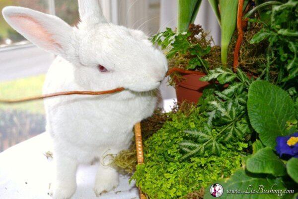 JJ Bunny mischief willow branch floral arrangement lizbushong.com