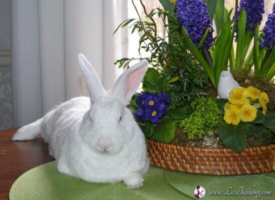JJ bunny lounging by the table centerpiece, wwwlizbushong.com