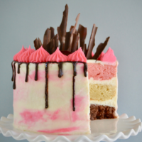 Neopolitan Cake Recipe lizbushong.com