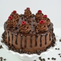 Chocolate Raspberry Layer Cake lizbushong.com