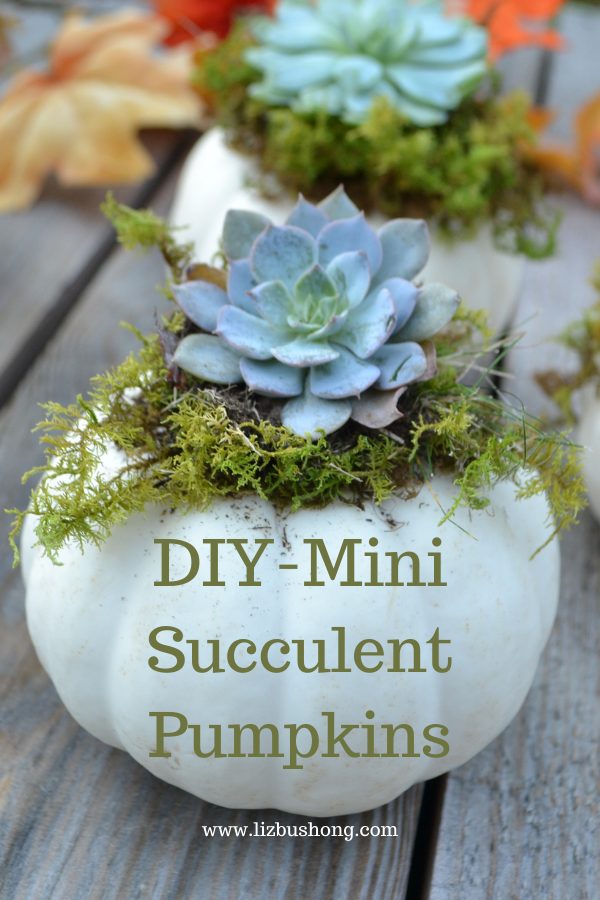 Easy Succulent Pumpkins DIY lizbushong.com