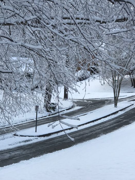 Snow Fall at lizbushong.com