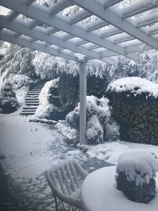 Snow at Lizbushong.com