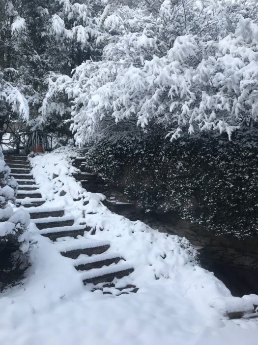 SNow at Christmas lizbushong.com