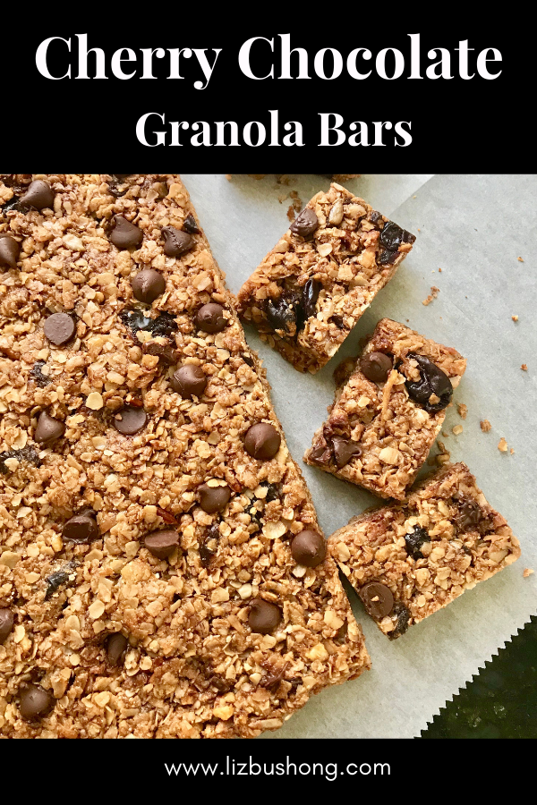 Best Cherry Chocolate Granola Bars lizbushong.com