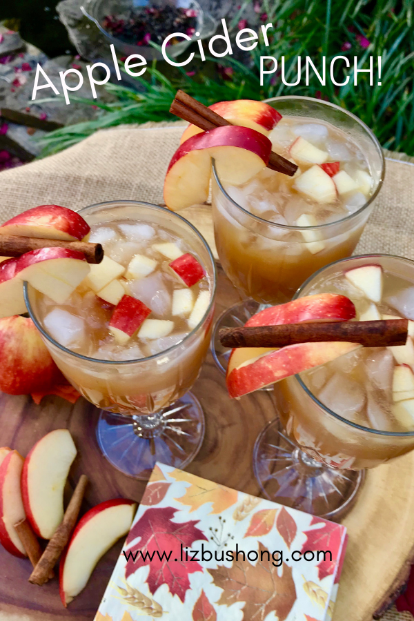 Making apple cider punch lizbushong.com