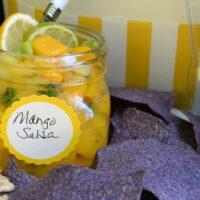 Mango Salsa Tailgating lizbushong.com