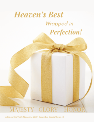Christmas issue-perfect gift preview-magazine lbushong.com