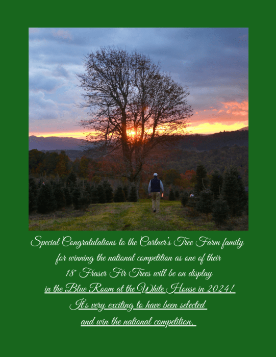 All About the Table magazine Christmas issue Tree farm sunset white house blue room selected