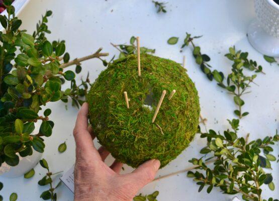 How to make cranberry  and boxwood topiary lizbushong.com