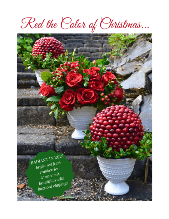 How to make a Cranberry rose centerpiece lizbushong.com