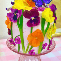 How to make Spring Pansy cake with edible flowers lizbushong.com