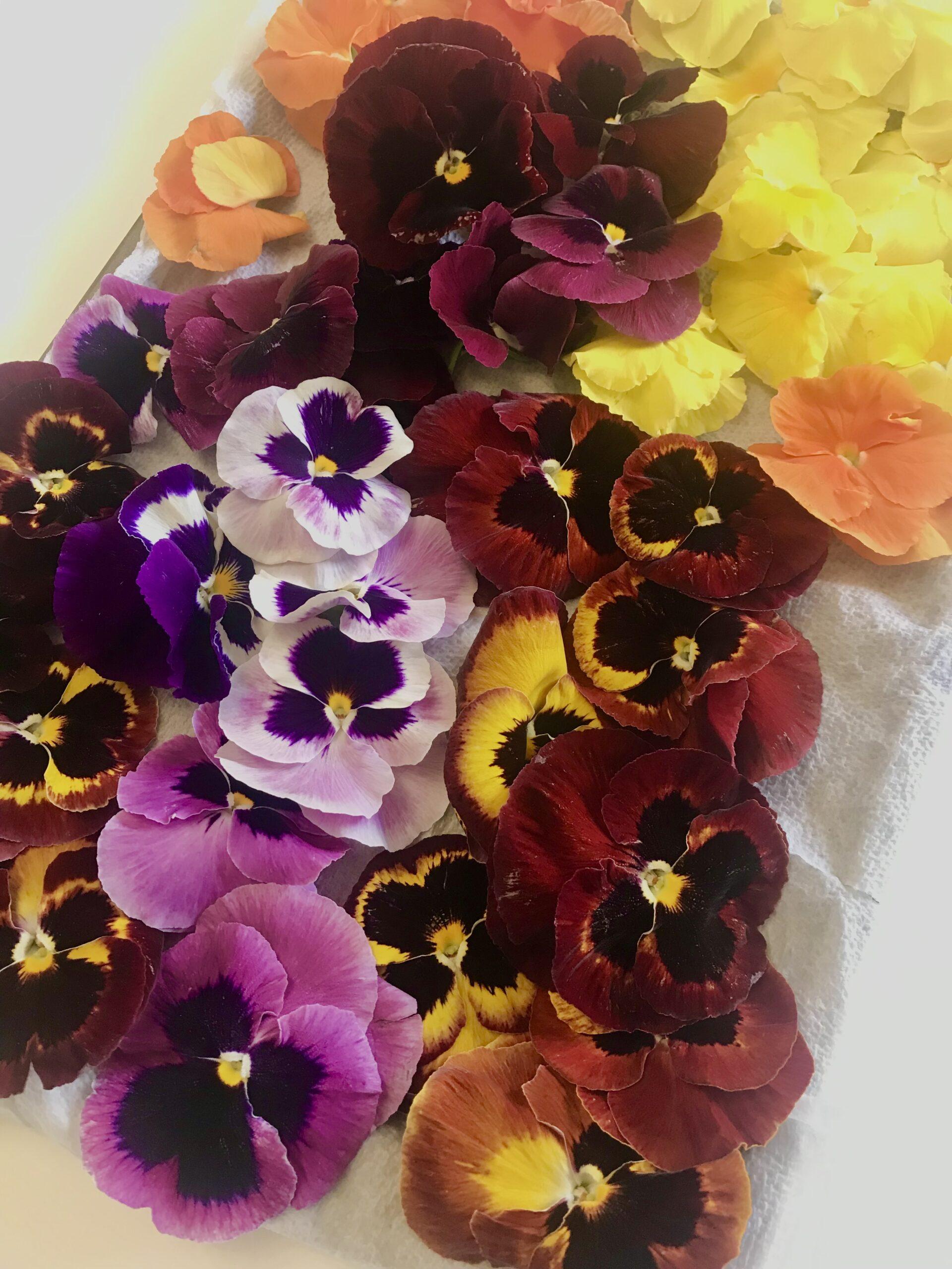 Edible pansies for cakes lizbushong.com