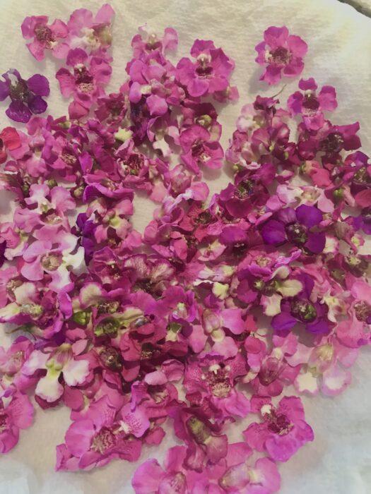 Fiary Orchids for Cakes llizbushong.com
