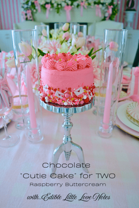 How to make Chocolate Cutie Cakes with Raspberry Buttercream and love note sprinkles lizbushong.com