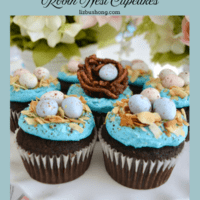 How to make recipe Chocolate Hazelnut Robin Egg Nest cupcakes with tiny nest lizbushong.com